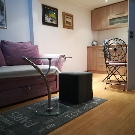 Apartman Galerija نوفي ساد المظهر الخارجي الصورة
